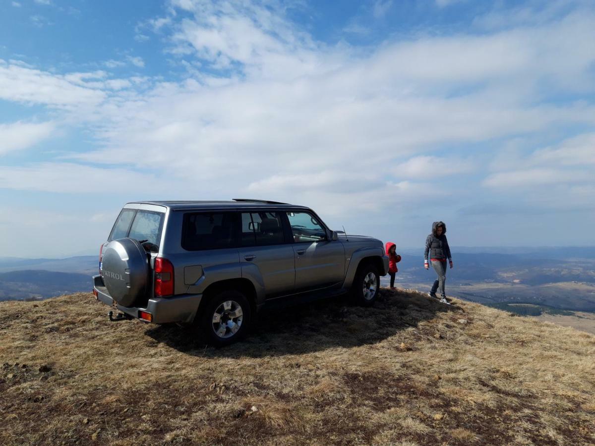 Zlatibor Brvnara Mir Βίλα Εξωτερικό φωτογραφία